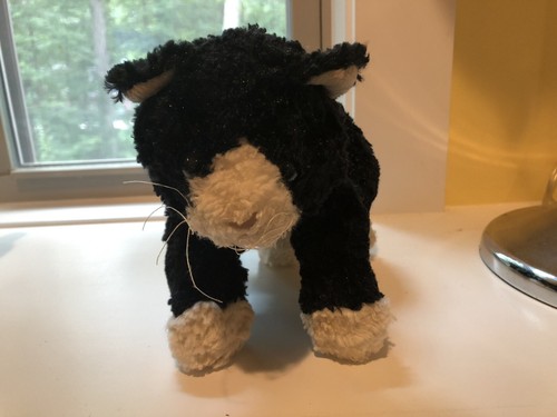 Gund Black Cat Stuffed Plush Socks | eBay