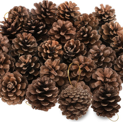 24 PCS Natural Pine Cones, 1.96 in Pinecone Ornaments, Rustic Pine Cones for Cra