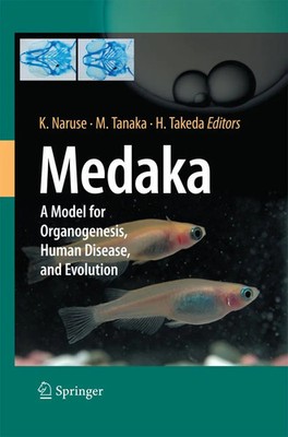 Medaka A Model for Organogenesis, Human Disease, and Evolution Naruse (u. a.)