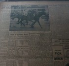 JULY 18, 1948 NEWSPAPER PAGE #2546- GALLORETTE BEATEN IN BROOKLYN HANDICAP — photo 3