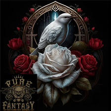 a Bird and Rose in Front of a Gothic Mirror Mens Cotton T-Shirt Tee Top