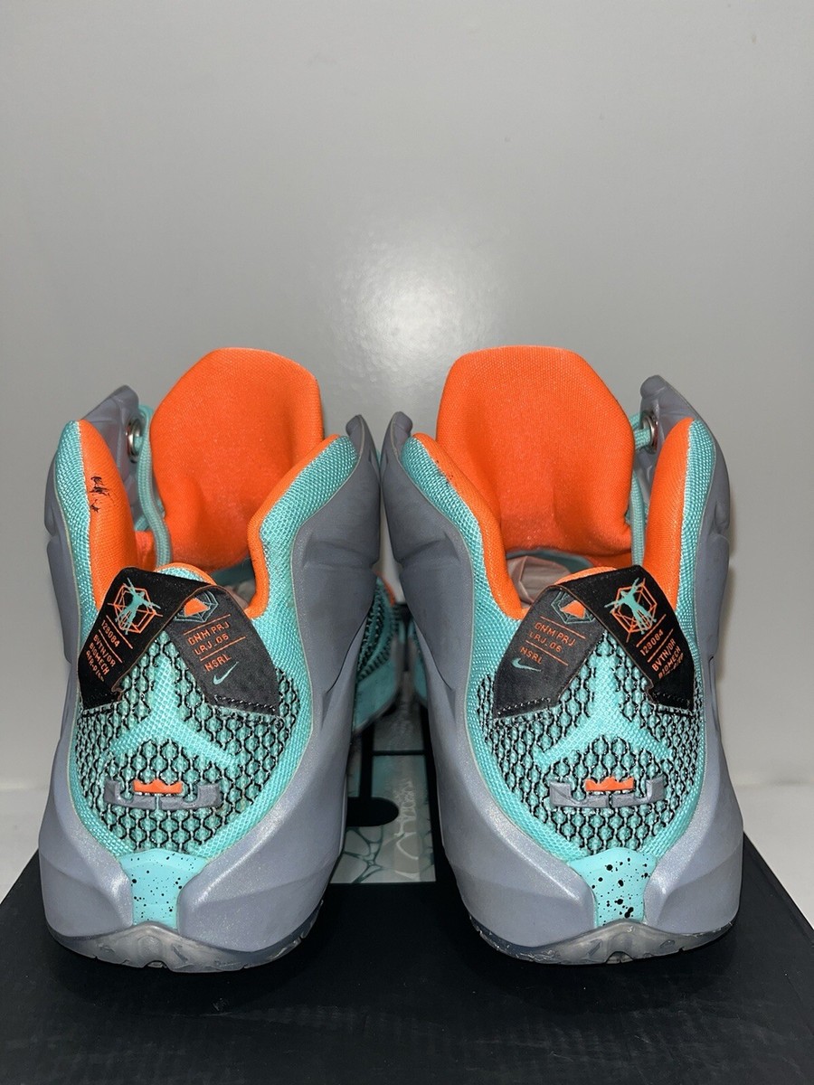 リ*** Nike 684593-301 LeBron 12 Teal & Gray NSRL 2014 - US Size 8.5 VNDS