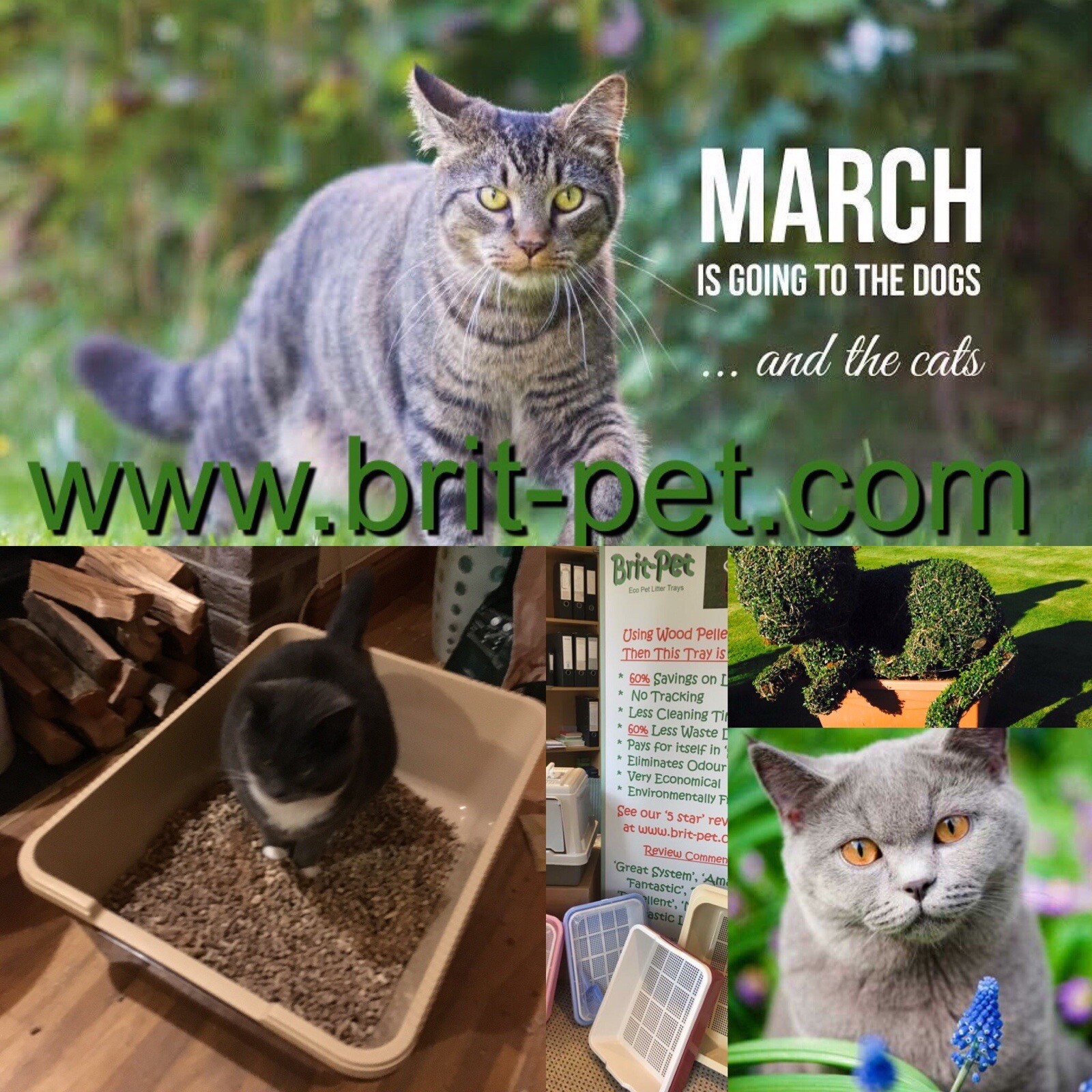 Maxi/Jumbo Sieve Litter Tray For wood Pellets eBay