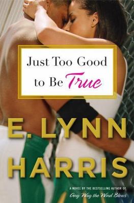 Just Too Good to Be True: A Novel by Harris, E. Lynn, Good Book