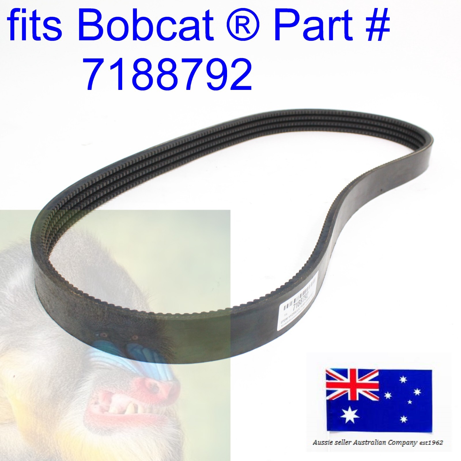 fits Bobcat Main Hydraulic Pump Drive Belt 7188792 7147859 S630 S650