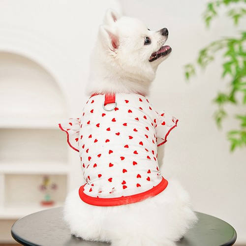 2er Pack dünne kühlende Hundeweste atmungsaktiv Mesh Hund T-Shirt für kleine mittelgroße Hunde Katze - Bild 16 von 24