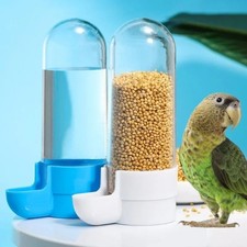 Automatic Water Dispenser for Birds and Pigeons   Fresh Water Always Available 