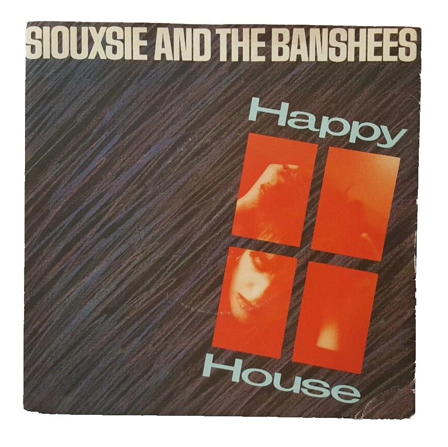 Rock Siouxsie and the Banshees Single Vinyl Records