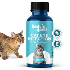 Cat Eye Infection & Vision Care Support