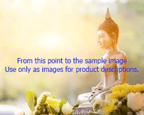 Lp.Derm wat Nong poh BE 2482, Thai amulet buddha Lifetime genuine guarantee - Picture 19 of 22
