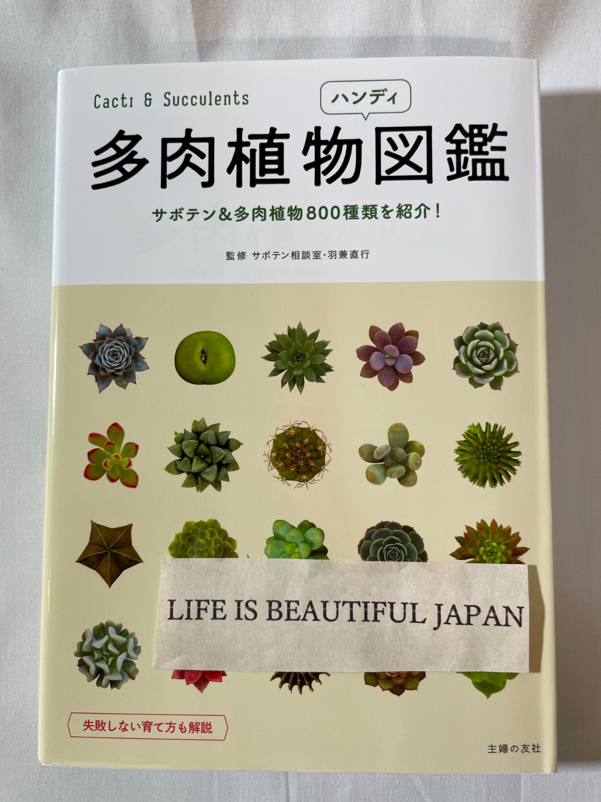 Cactus Cacti Succulent Plants Handy Illustrated Book Japan Scientific Name