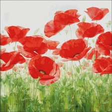Needlework Crafts Embroidery Counted Cross Stitch Kits 14 ct - Holland Garden