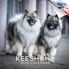 Keeshond Dog Breed Calendar 2026 FULL SIZE 12x24 Made in USA