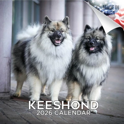 MEGACALENDARS Keeshond Dog Breed Calendar 2026 FULL SIZE 12x24 Made in USA