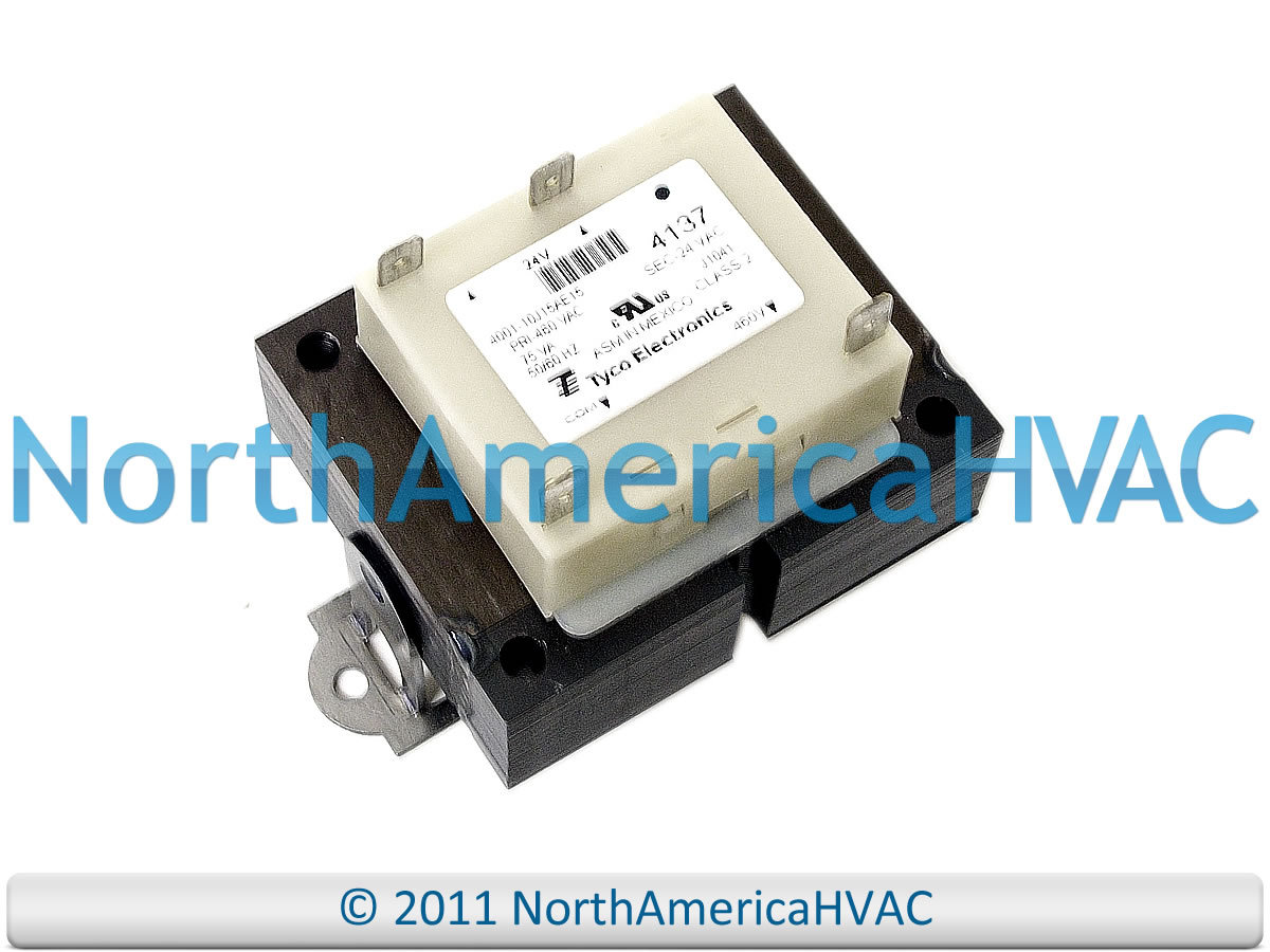 テレサーテン　パーフェクト24 PSA 10 Eevee ex SAR 224/187 Terastal Festival sv8a 2024