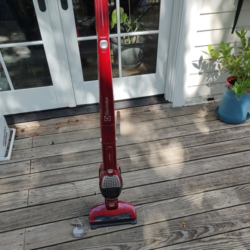 electrolux steam floor cleaner