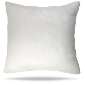 spotlight pillow inserts