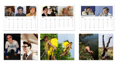 Harry Styles 1D 2023 Wall Calendar, Harry Styles gift, Harry Styles merch  poster | eBay