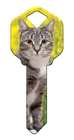 Silver Tabby House Key - Cats - Kittens - Suits LW4