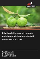 Turi Dhara G. (U. A.) | Effetto Del Tempo Di Innesto E Delle Condizioni...