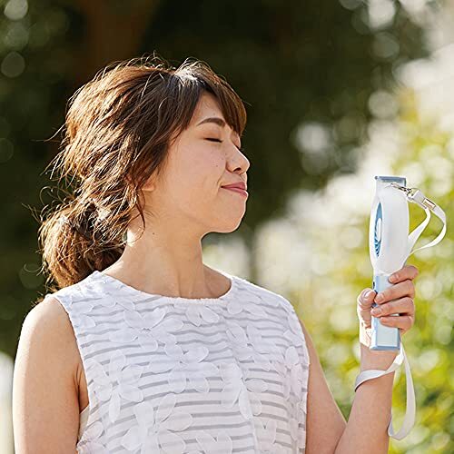 Skater USB Rechargeable Handy Mist Fan Portable Electric Fan Disney