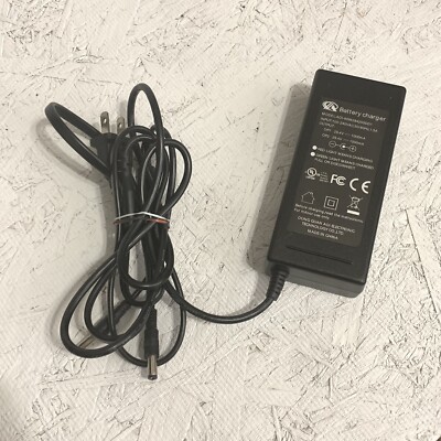 AOI-60w294200dd1  Dual Battery Charger Power Source 29.4v 1000mA x2 Tested!