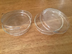 Pyrex, Petri Culture Dish, 100 x 10 mm