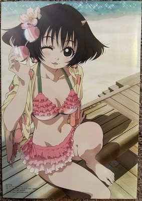 Double Sided Anime Poster: Hozuki s Coolheadedness, Magical Warfare 
