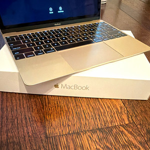 MacBook Retina 12in Early 2016 | eBay