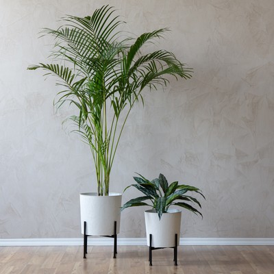 Saffron Fabs Metal Planters With Stand - Set of 2