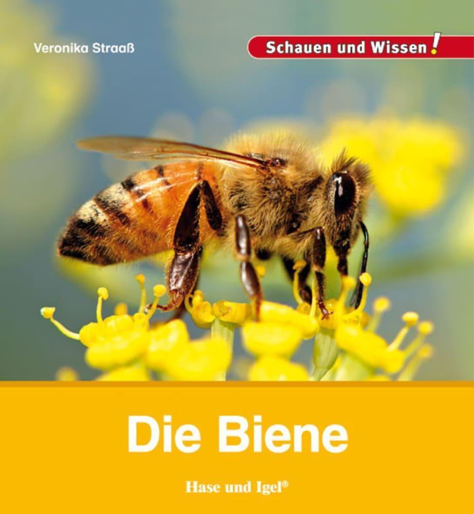 Thumbnail - Die Biene | Veronika Straaß | Schauen Und Wissen | Buch | 34 S. |