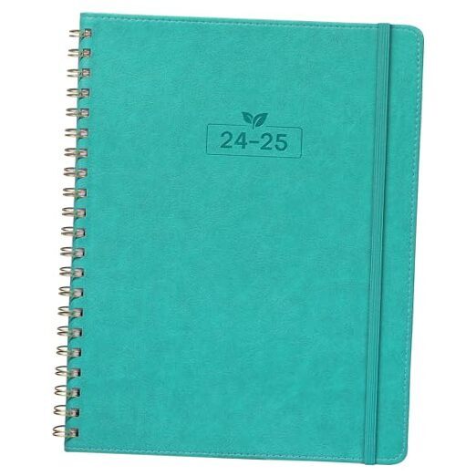 Appointment Book 2024-2025 - Planner 2024-2025 Daily Weekly and Monthly, 17