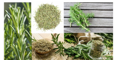 ORGANIC ROSEMARY DRY LEAVES HERBAL LEAF (Rosmarinus officinalis)50G