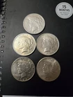 Lot Of 5 Peace Silver Dollars
