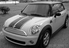 (2) 10" Hood Racing Rally Stripes Auto Graphic Vinyl Decal Car Truck Universal