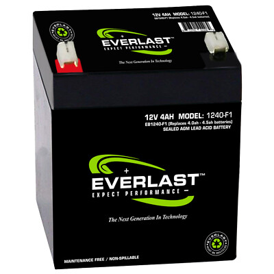 EVERLAST  12V 4.0AH SLA RCHRGBL Lead Acid Battery, Multi-Purpose / .187 Faston