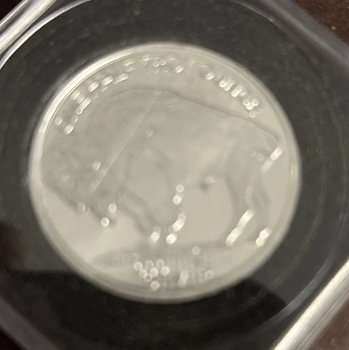 1/2 oz Silver Round - Buffalo