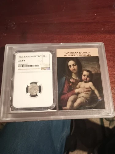 1500s KB Hungary Silver Denar MS-63 NGC (Random, Story Vault) - SKU#151759