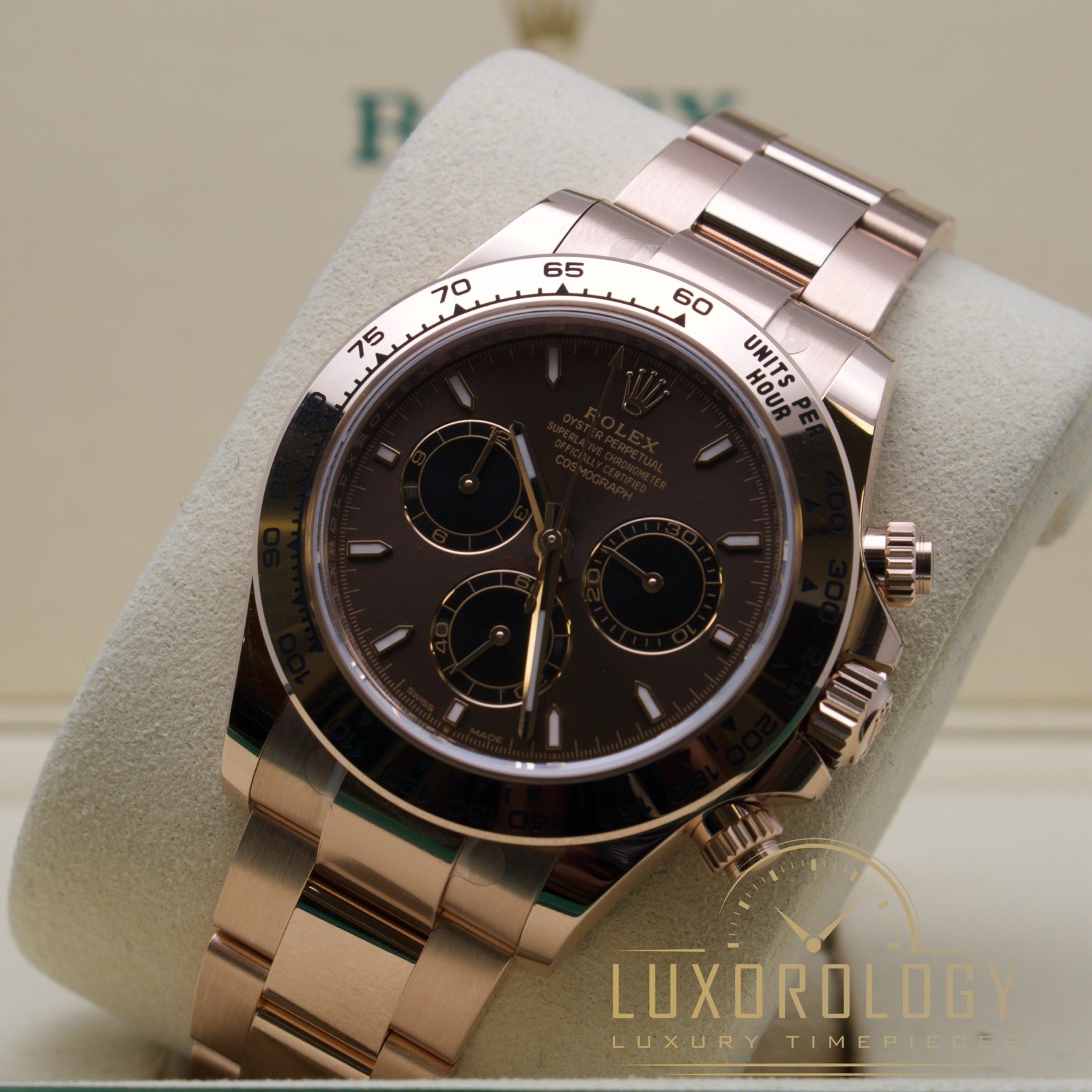 August 2025 Unworn Rolex Daytona 126505 ‘Chocolate Dial’ **BELOW RRP** image 4