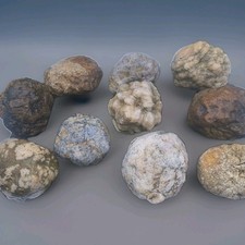 Kentucky Geode Classroom Pack – 10 Whole Rocks for Teachers & Homeschool STEM