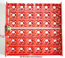 144 Quail Egg Turning IncubatorTray with Automatic 110Volt AC USA 1/240rpm NEW 