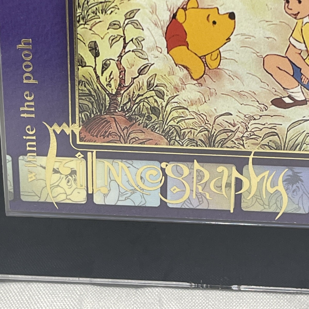 Winnie The Pooh and the Honey Tree Disney Treasures WP-11