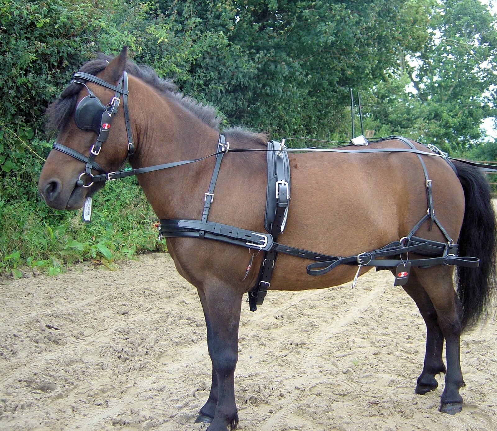 Zilco Classic Pair Horse Driving Harness, Horse Size, Black and Brown -  5644-4 - GOOD APPLE EQUINE