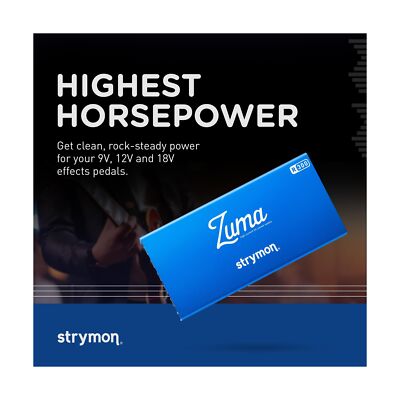 Strymon Zuma R300 | eBay