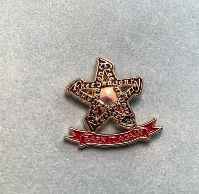 Gold Tone Freemasonry Stephen Gardner Earn It Again Star Lapel Pin