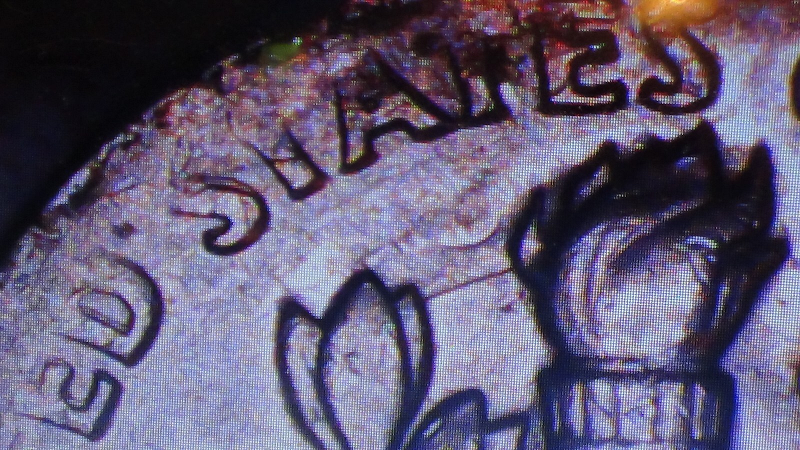 Picture 10 of 13