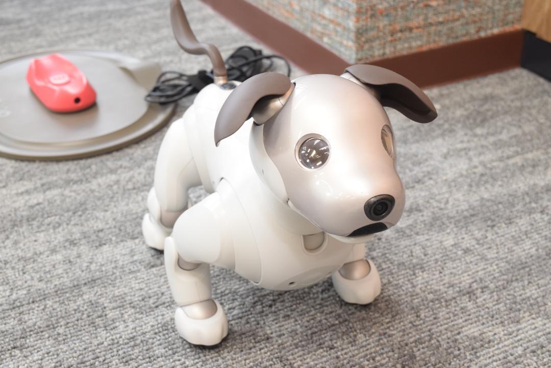 SONY Aibo ERS-1000 Main Unit Dog Shaped Virtual Pet Robot