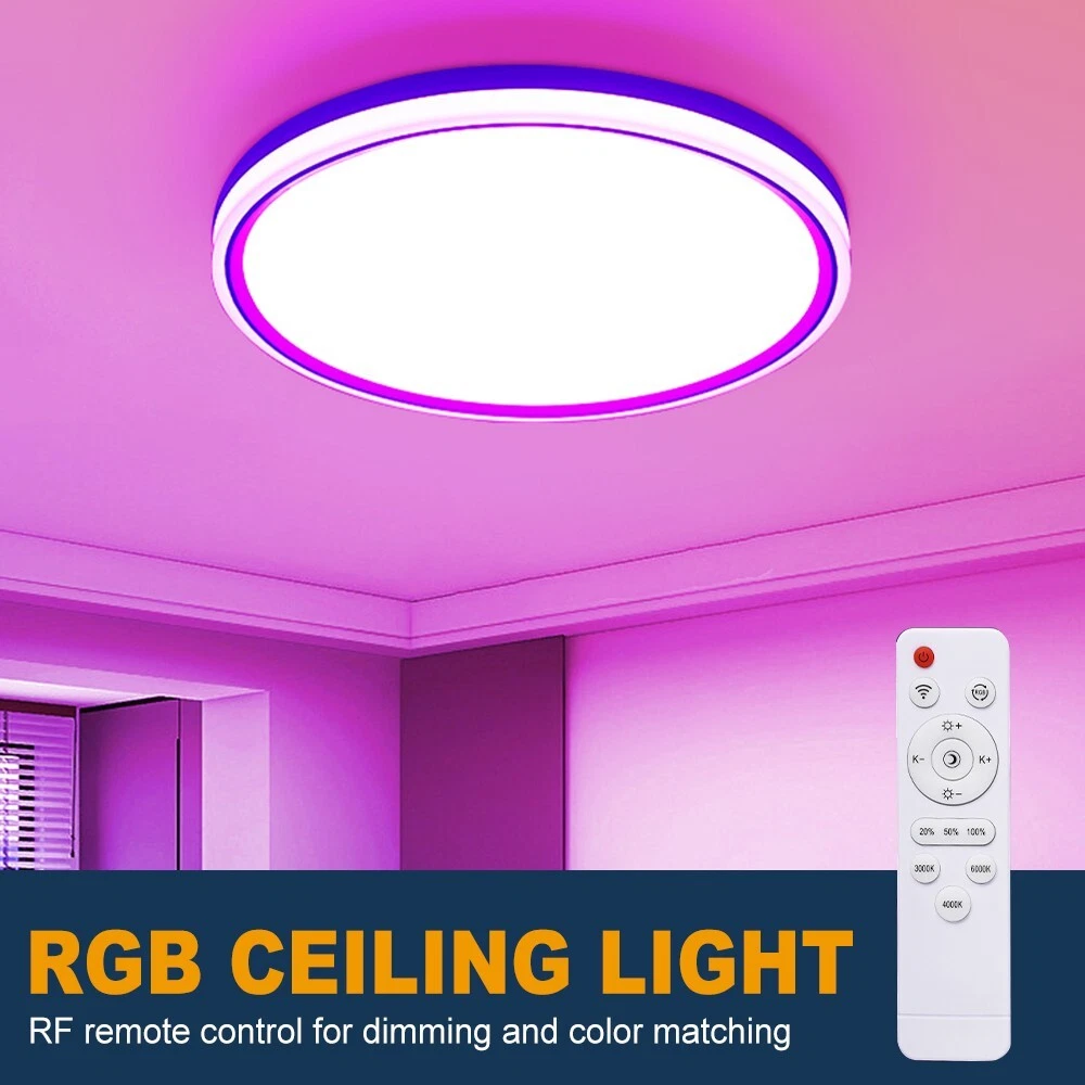 LED Ceiling Light Dimmable RGB Colour Changing Pendant Wall Lamp
