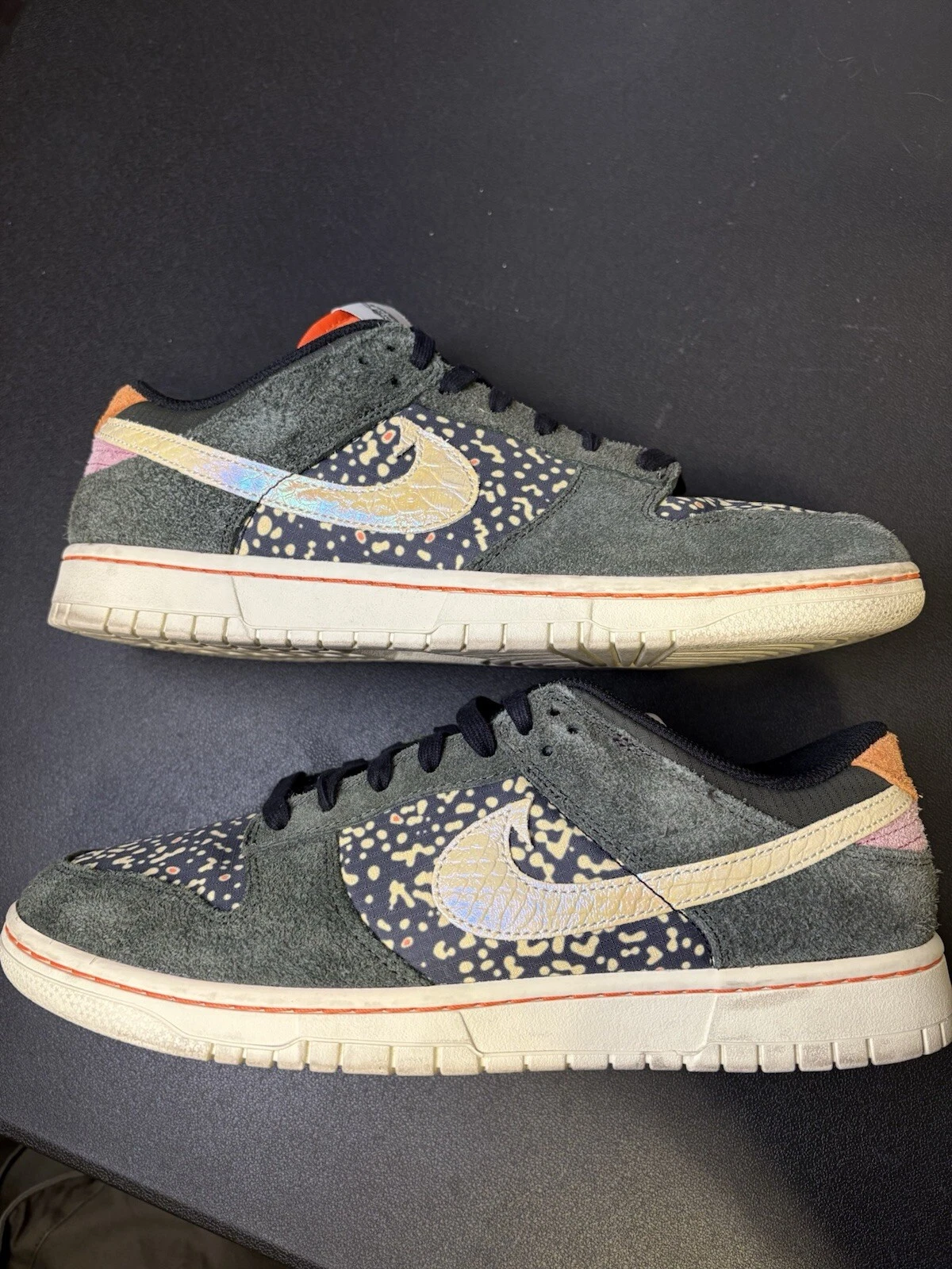 Dunk Low- Gone Fishing ‘Rainbox Trout’