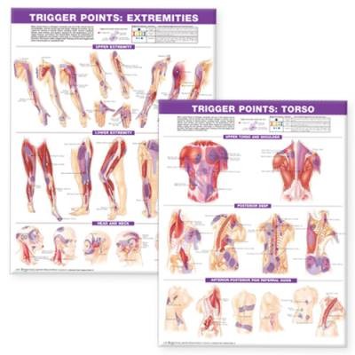 Trigger Point Chart Set, ,